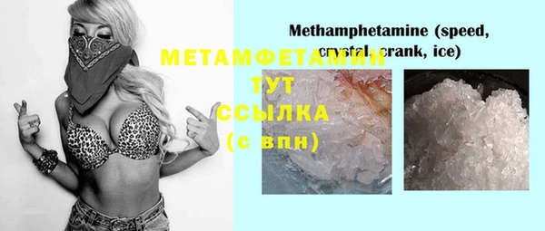 стафф Аркадак