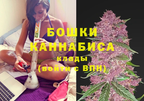 амф Арсеньев