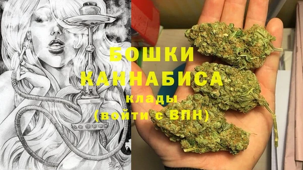 стафф Аркадак